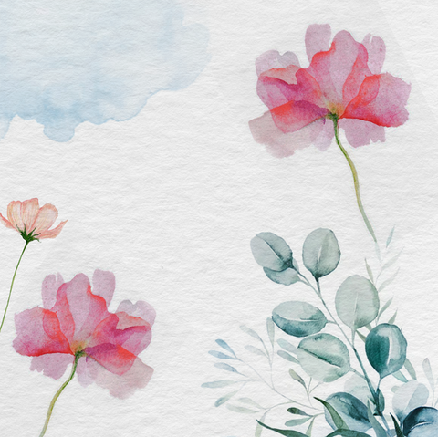 Taller de Acuarela: Flora, fauna y retrato