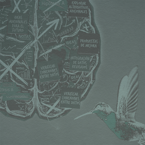 Taller de Creación Literaria, Parte II: creación, retroalimentación y corrección - MUSEO MARCO