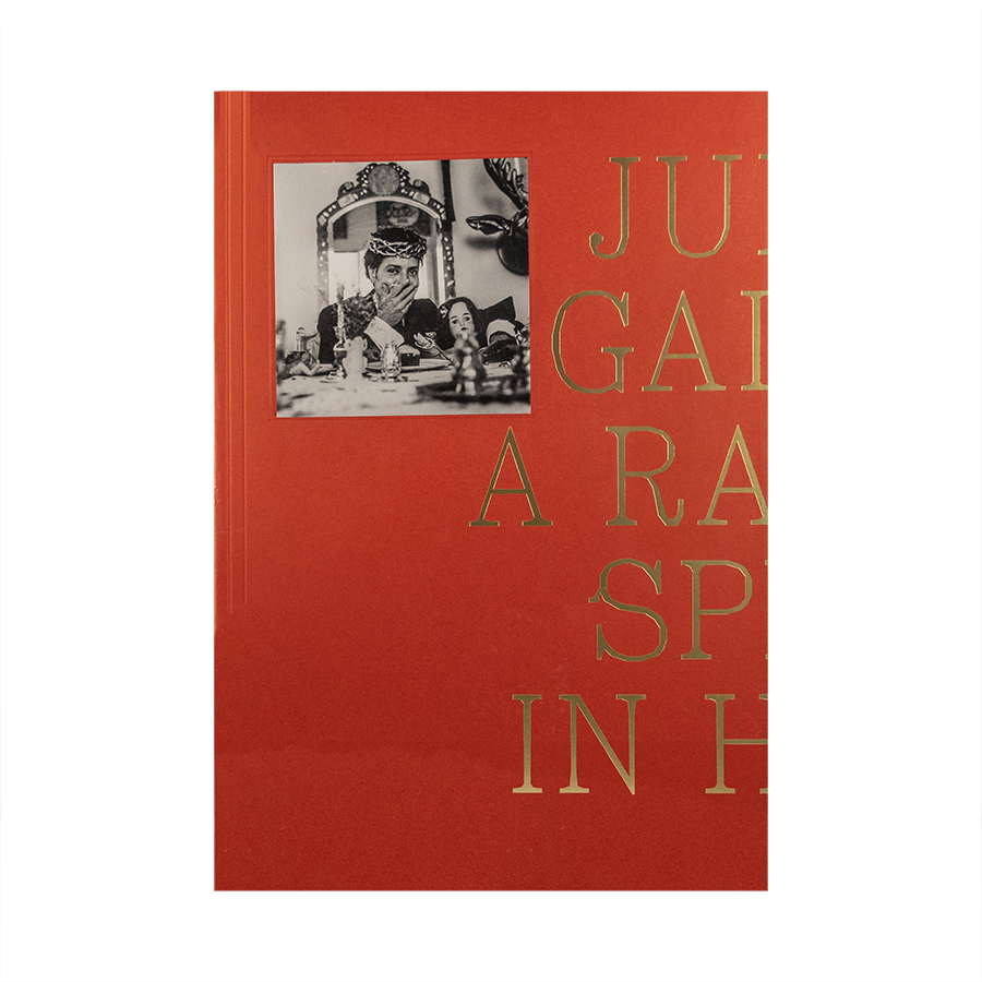 Catálogo Julio Galán: A rabbit split in half– MUSEO MARCO