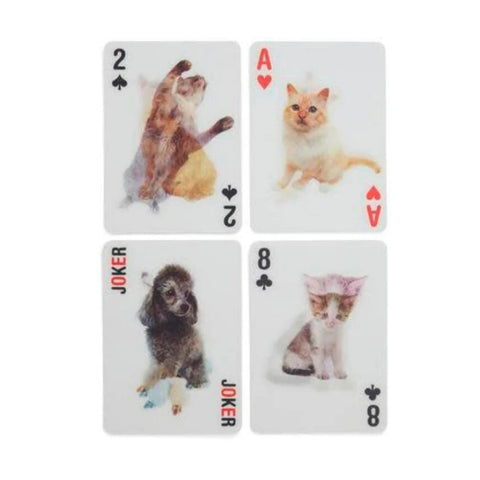 Paquete de cartas gatos